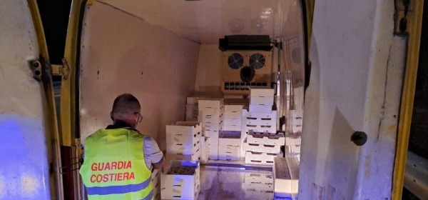 Operazione “Mistral”, sequestrati 1.500 kg di pescato non tracciabile tra Abruzzo e Molise