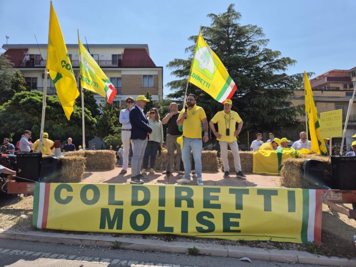 Coldiretti in piazza per l’emergenza cinghiali. Chieste alla politica risposte immediate