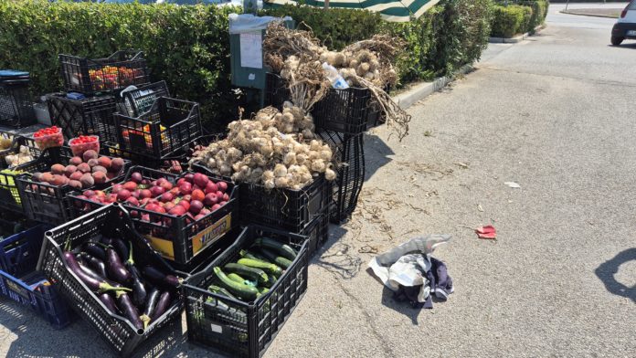Fruttivendolo colpito alla testa con un bastone davanti all’ospedale di Termoli