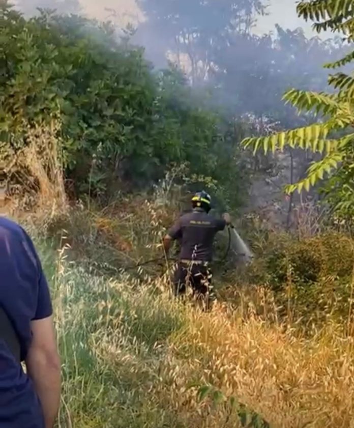 Incendio Ferrazzano, Vigili del Fuoco di nuovo in azione alle porte del paese. Salvata azienda agricola. Interventi anche in Basso Molise