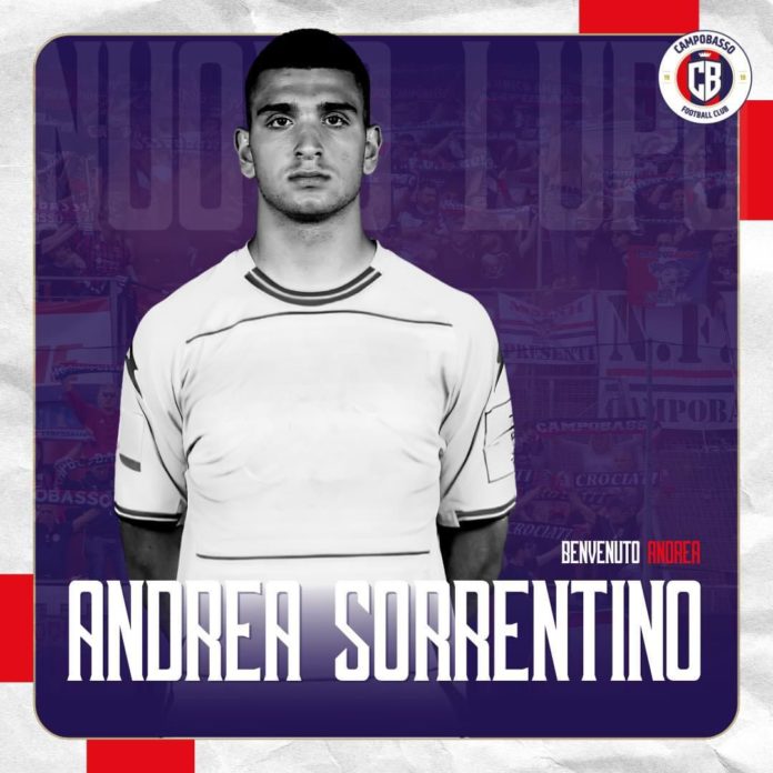 Calcio, Campobasso arriva il portiere Sorrentino. Molto vicino l’attaccante Santaniello