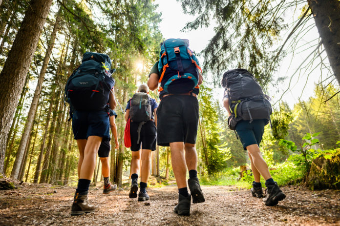 18mila capi educatori scout si incontrano a Veronaper riflettere sul futuro delle nuove generazioni, 96 partiranno dal Molise