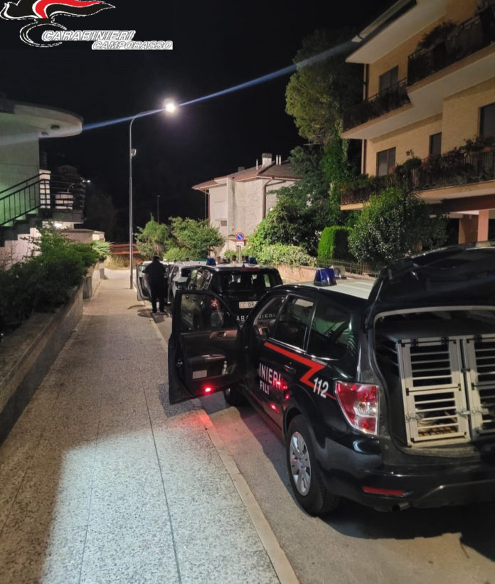 Immigrazione e droga, controlli dei Carabinieri a Campobasso