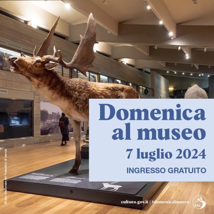 Domenica al museo: ingresso gratuito in tutti i siti del molise