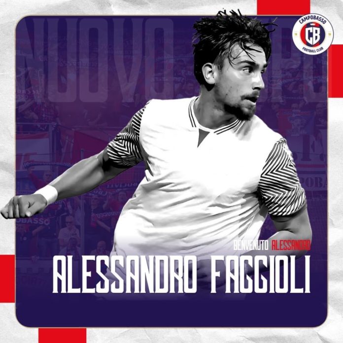 Calcio, Campobasso: ufficiale anche D’Angelo, rosa praticamente al completo. In serie D: movimenti di mercato per Isernia e Termoli