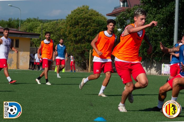 Calcio, Serie D, Termoli in ritiro, società giallorossa attiva sul mercato. Il punto