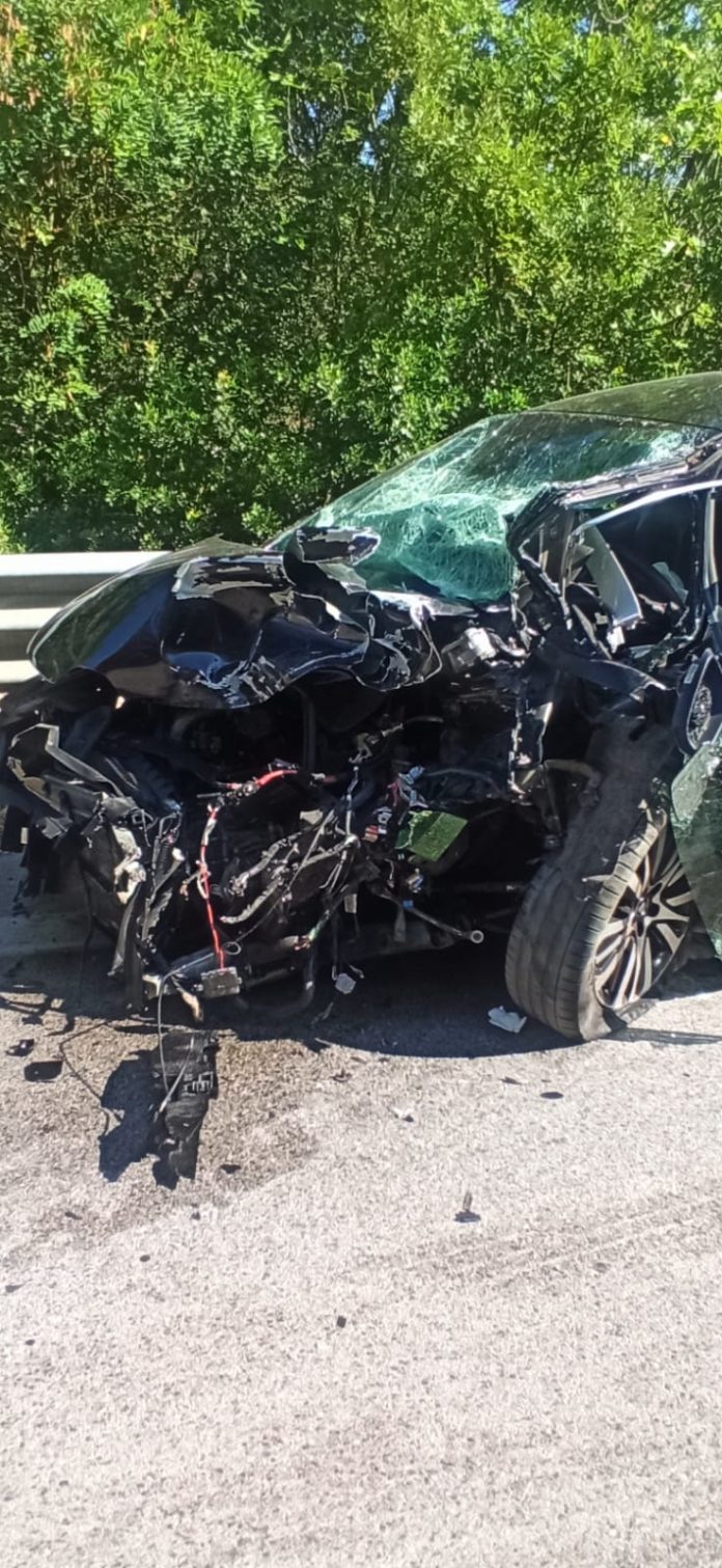 In aumento gli incidenti stradali in Molise, cresce anche il numero di morti e feriti