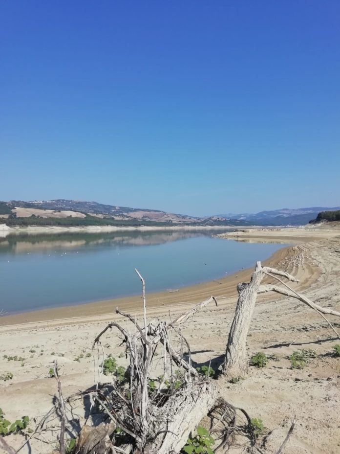 Danni causati dalla siccità, fondi solo a 33 Comuni molisani