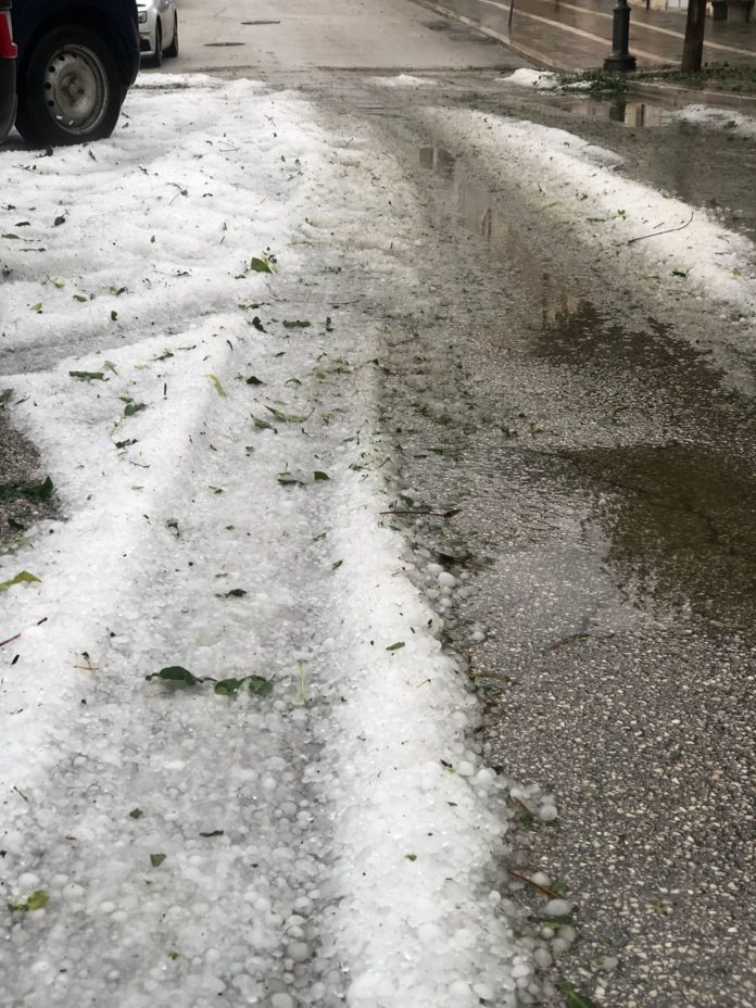 Maltempo primavera, danni ad agricoltura per quasi 30 milioni
