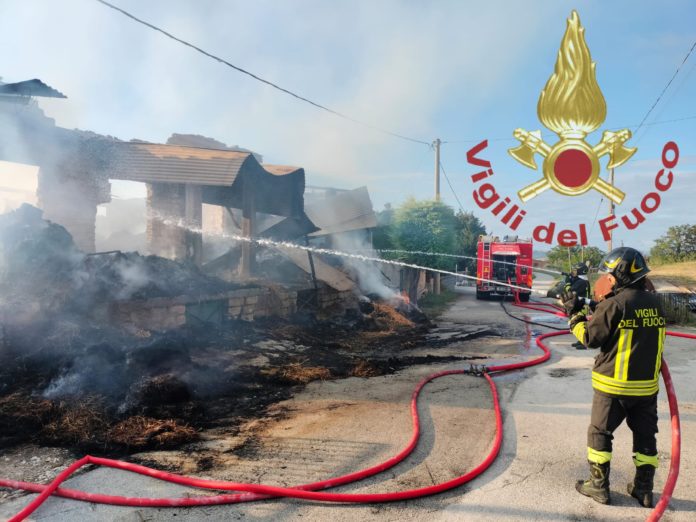 Trivento: fiamme distruggono struttura agricola di due piani, animali messi in salvo
