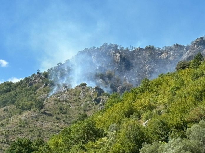 Incendio sulla montagna di Venafro, canadair in azione per domare le fiamme venafro incendio