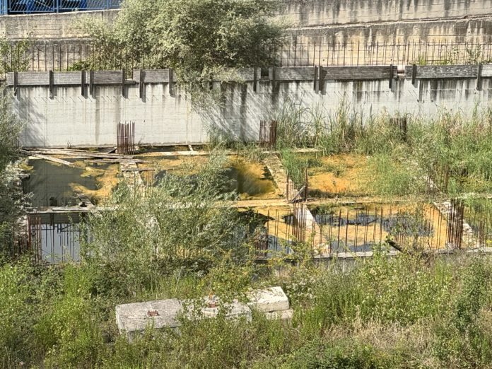 Campobasso, area paludosa in zona San Giovanni: residenti chiedono bonifica