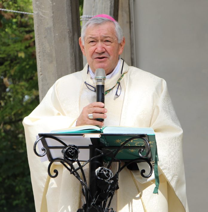 La speranza non delude: convegno di apertura del nuovo anno pastorale della diocesi di Termoli-Larino