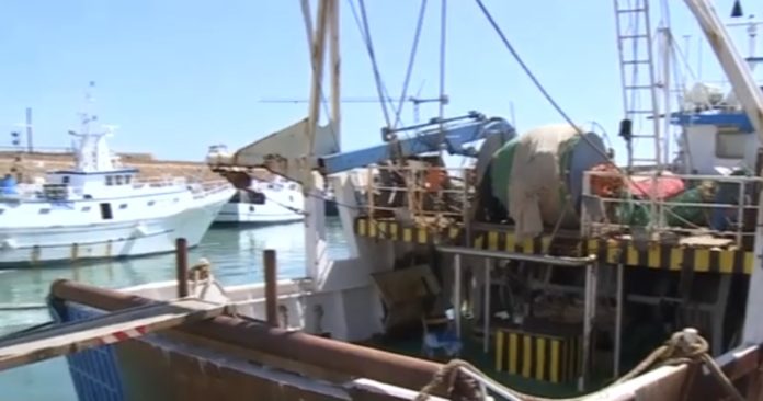 Domenica barche molisane di nuovo in mare, ma imposte meno giornate di pesca