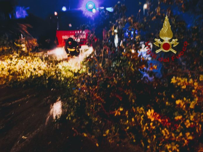 Allerta arancione per il maltempo, albero cade su un’auto