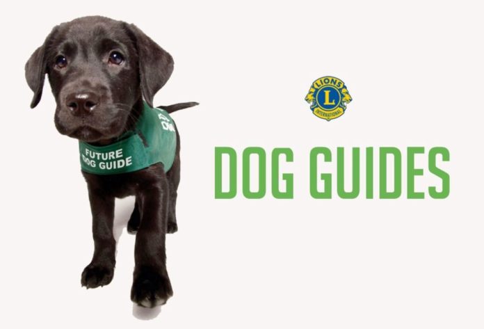 Iniziativa Lions, “Il tuo punto di vista conta”: a Campobasso screening gratuito agli occhi contro le maculopatie