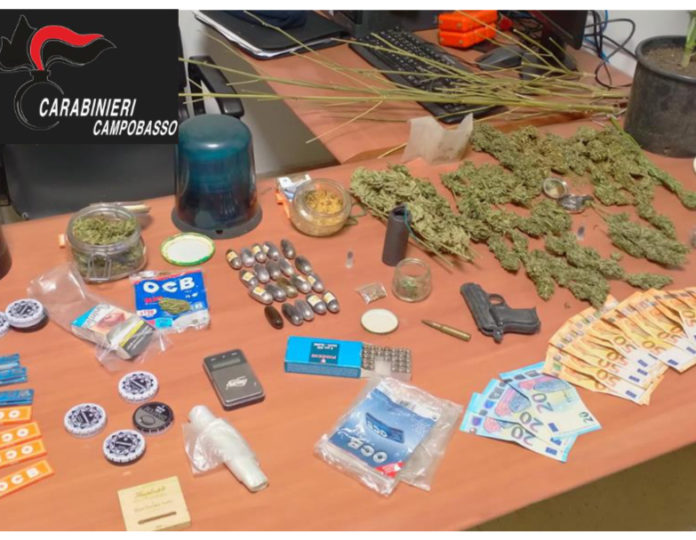 “Alto impatto”, controllo straordinario del territorio matesino da parte dei Carabinieri di Bojano