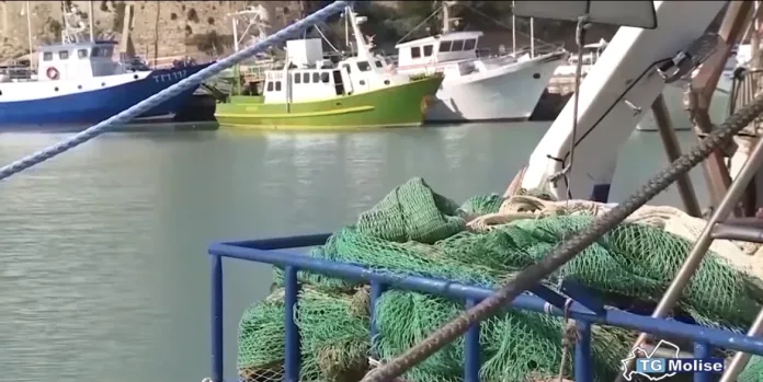 Agrifish, chiesta moratoria per fermare la riduzione della pesca