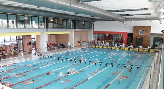 Nuoto, terza tappa della Coppa Los Angeles positiva per gli atleti della M2.