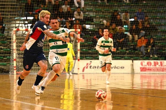 Futsal, sosta nei campionati nazionali. Il Cus Molise si prepara per la sfida di sabato prossimo con il Giovinazzo