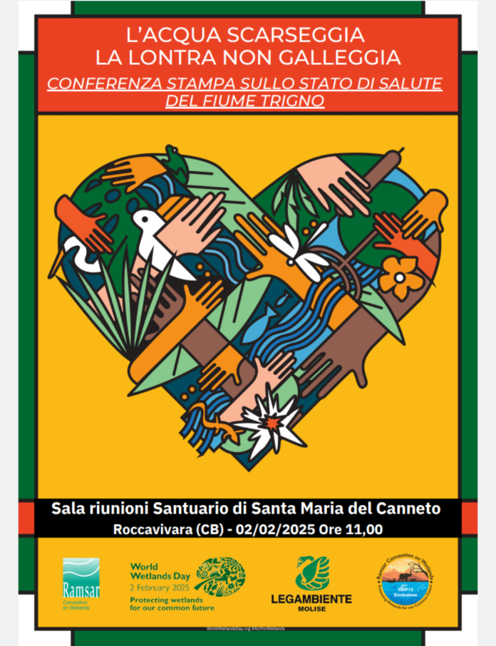 Stato di salute del fiume Trigno, annunciata la conferenza stampa “L’acqua scarseggia la lontra non galleggia”