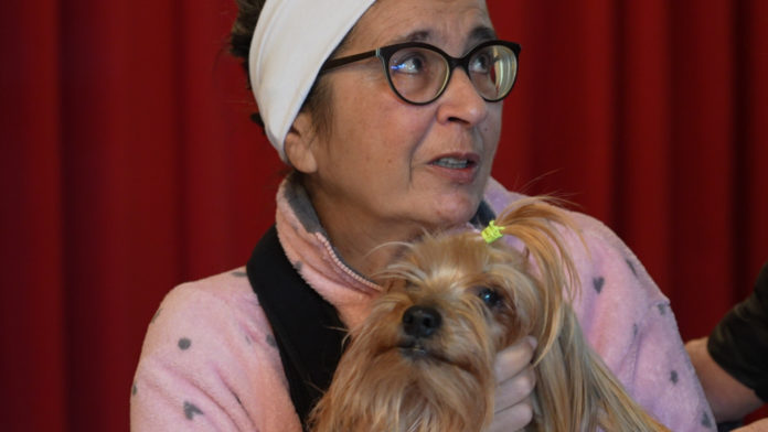 Colpita da ictus in casa, il cane le salva la vita: la storia di Giusy e Fischio