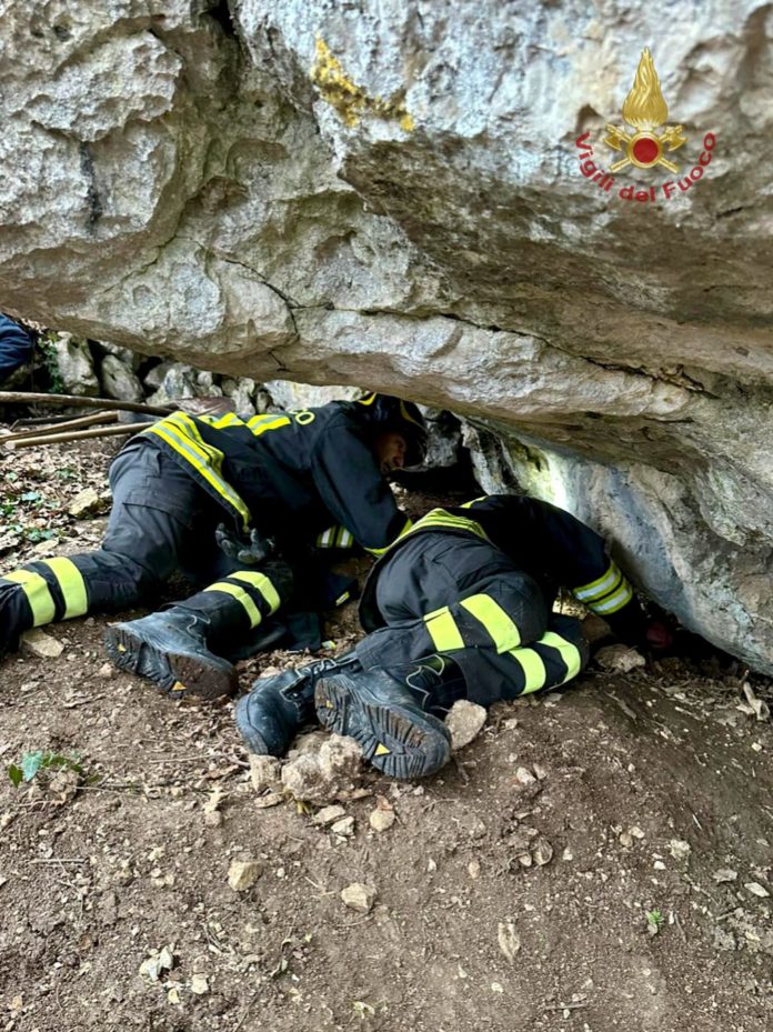Cane resta intrappolato sotto una roccia, salvato dai Vigili del fuoco