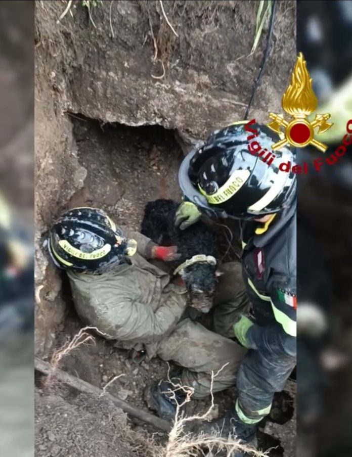 Cane bloccato da giorni in un cunicolo, salvato dai Vigili del fuoco – Ecco il video