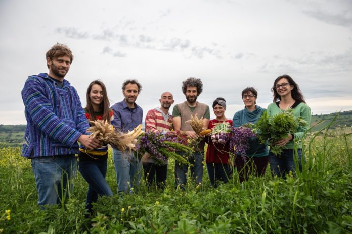 Progetto Appennino: al via i bandi dell’edizione 2025 nel borgo di Castel del Giudice progetto appennino