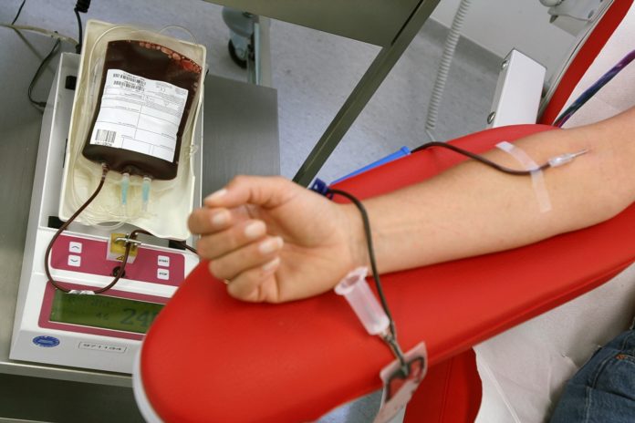 Sangue, i numeri delle donazioni in Molise nel 2024