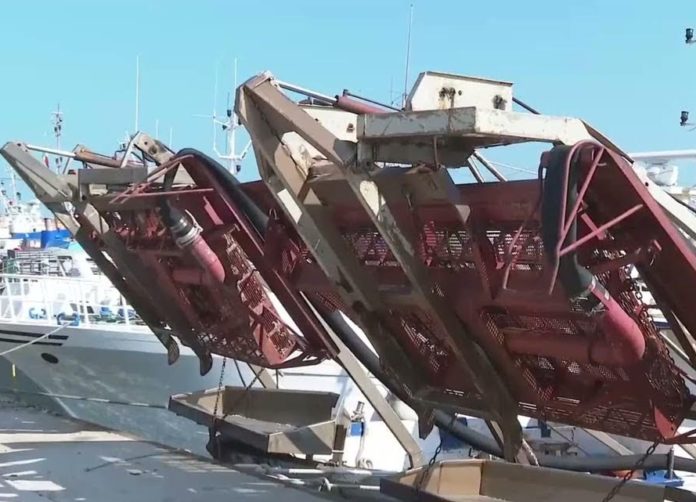 Crisi vongolare a Termoli, ancora uno stop volontario fino al 31 marzo