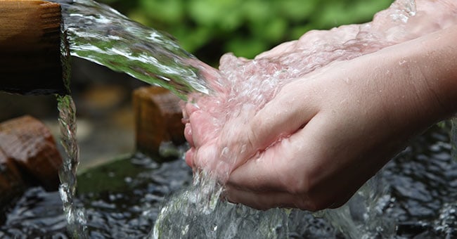 Emergenza idrica, Coldiretti Molise: “Serve un confronto pragmatico per dare risposte a imprenditori e cittadini”