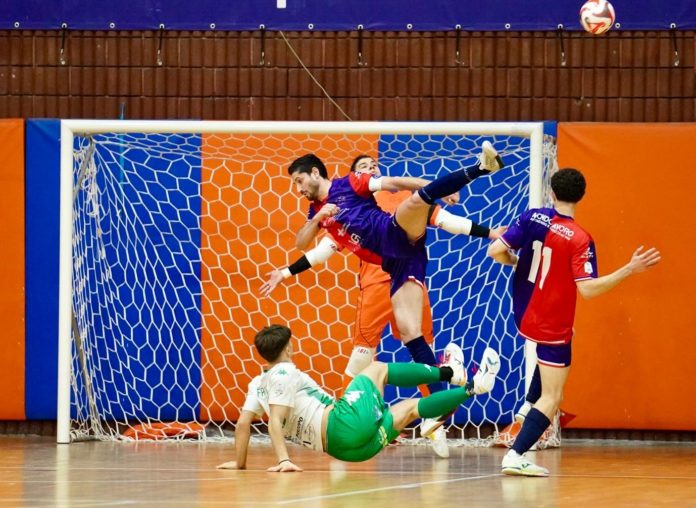 Futsal, A2 élite, Nulla da fare per la Laborvetro Cln Cus Molise, il Giovinazzo passa al Palaunimol