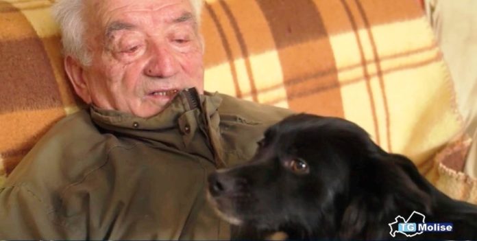 Il signor Angiolino, il suo amato cane e la campagna di odio sui social