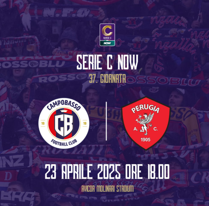 Calcio, Serie C, Campobasso – Perugia domani alle 18.00 al Molinari. Lupi tra presente, chiudere la salvezza, e futuro