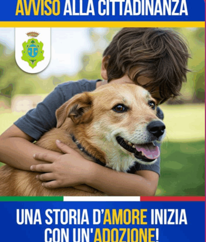 Animali randagi, il Comune di Trivento lancia l’iniziativa: una storia di amore inizia con un’adozione, aiuta il tuo Comune!