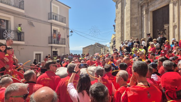 Carrese San Martino in Pensilis, verga difforme: Giovanotti squalificati