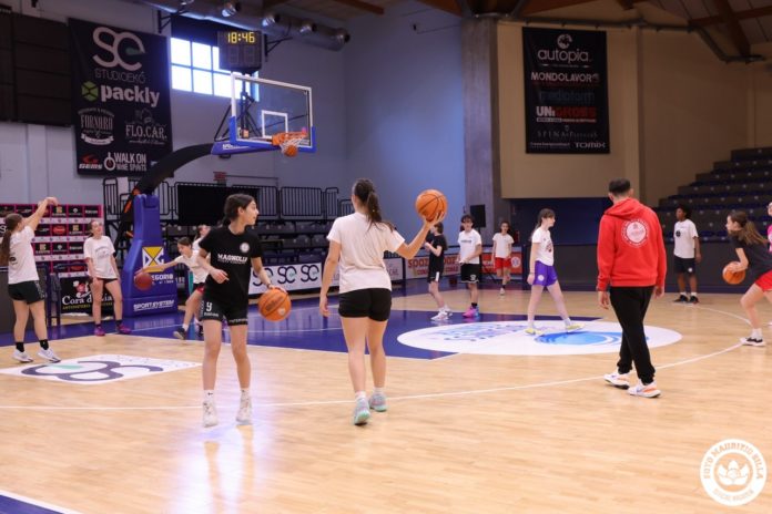 Basket, under 17, la Molisana Magnolia, ad Umbertide via al concentramento. Esordio con Frascati. Poi le sfide contro il Salerno ed il San Lazzaro di Savena