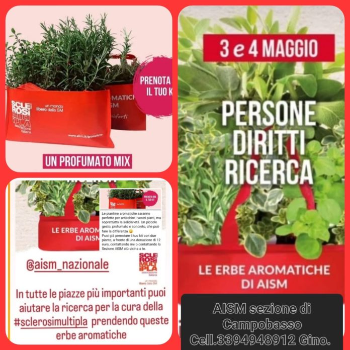 Tornano le “Erbe aromatiche di AISM”. Il responsabile Donatelli di Trivento: per le persone, per i diritti, per la ricerca