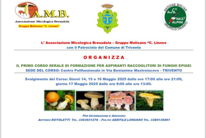 A Trivento il primo corso serale di formazione per aspiranti raccoglitori di funghi epigei