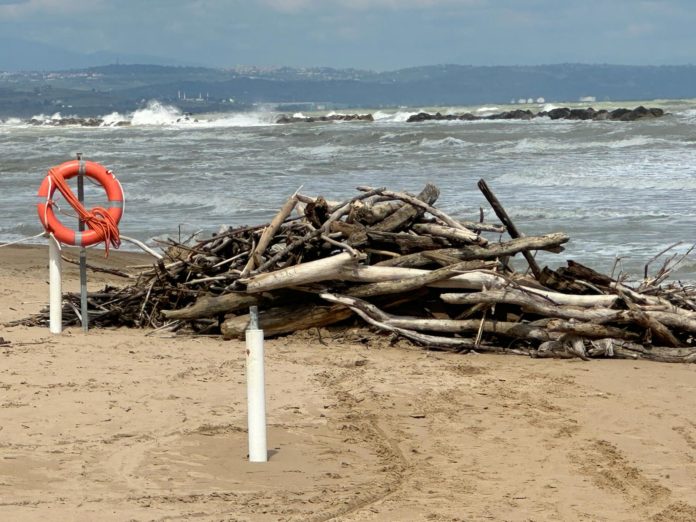 Detriti e rifiuti sulla spiaggia, i balneatori chiedono ordinanza al sindaco