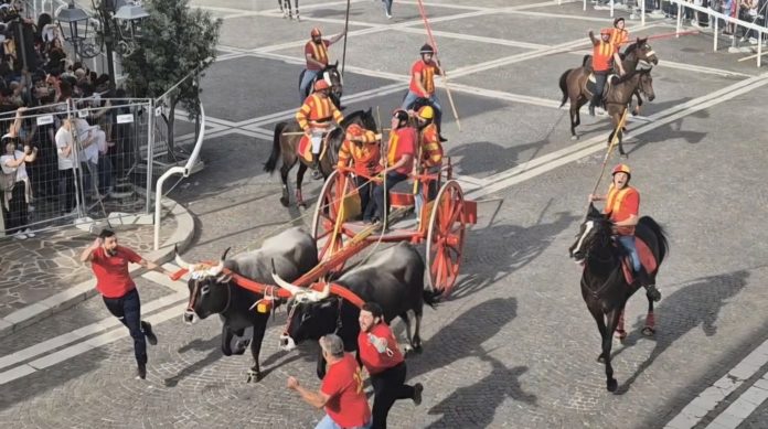 Carrese di Ururi, vincono i Giovanotti. Apprensione per un cavaliere colto da un malore: è in Rianimazione