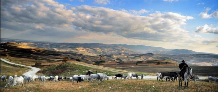 Tratturi, Coldiretti Molise: “Dalla loro valorizzazione nascono benefici ambientali e occupazionali”