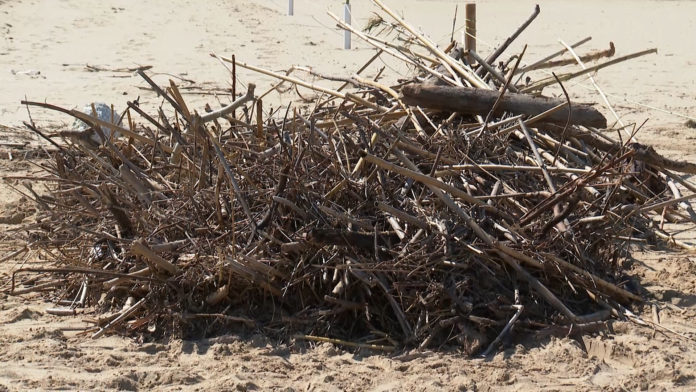Rifiuti su spiaggia libera di Termoli, scatta ordinanza pulizia senza limiti di orario