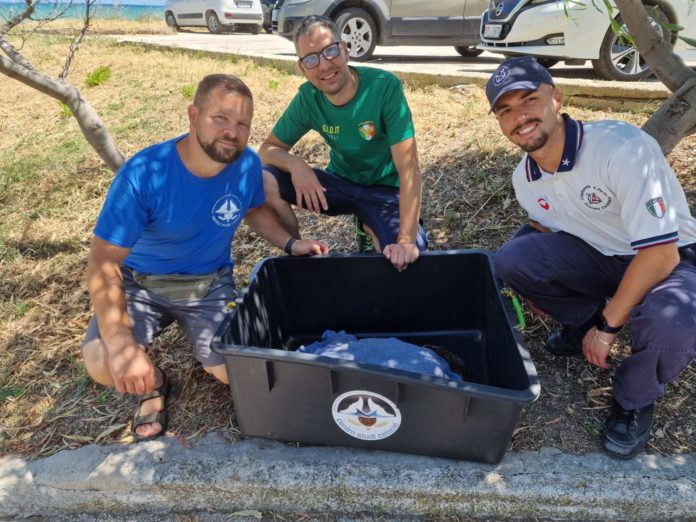 Tartaruga marina ferita soccorsa sulla spiaggia del residence Gemini II