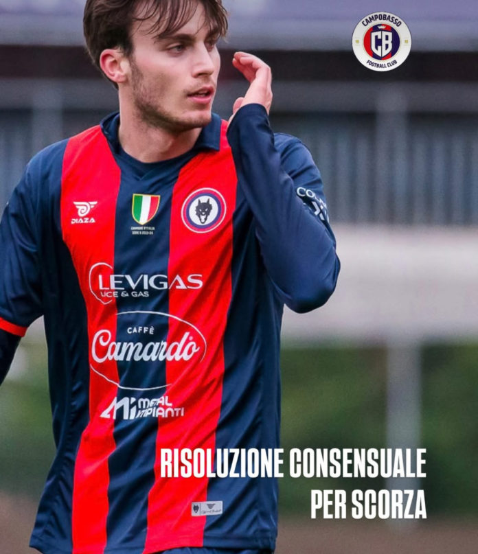 Calcio, Serie C, Campobasso arriva la risoluzione con Scorza. Covisoc: venerdì i verdetti sulle iscrizioni