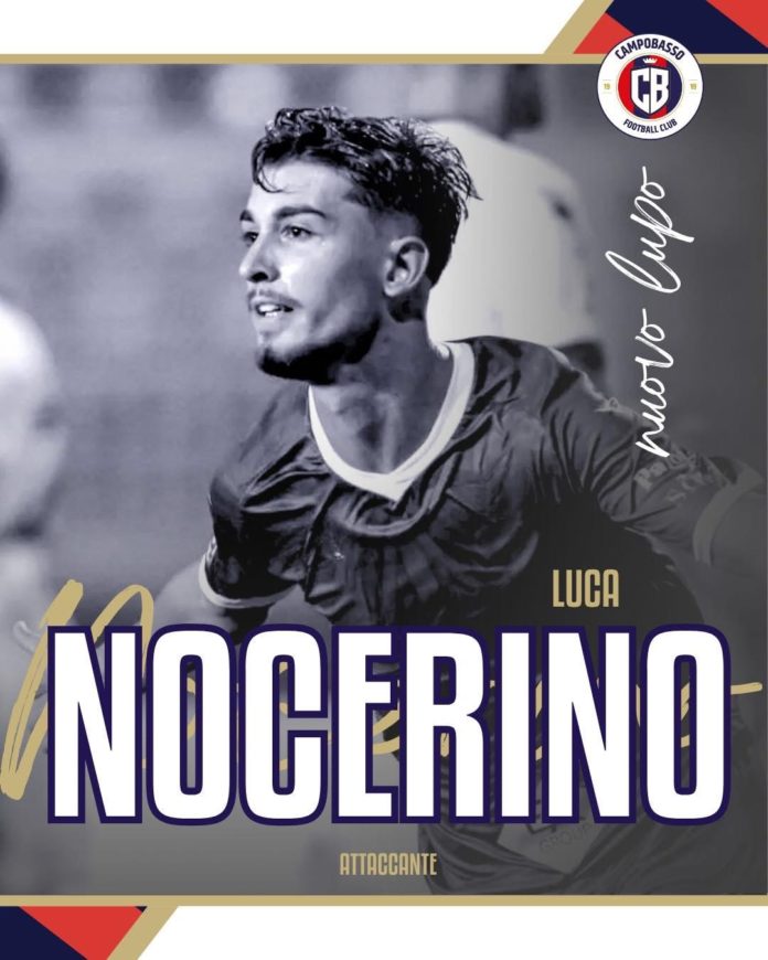 Calcio, Serie C, Campobasso attivo sul mercato. Quattro arrivi ufficiali e diverse trattative in corso