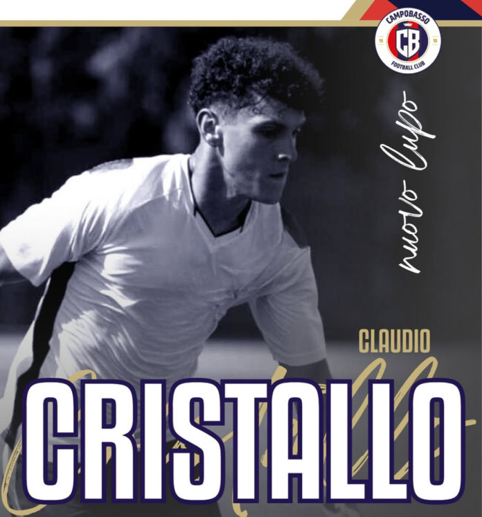 Calcio, Serie C, Campobasso, le scelte della società e le regole del “minutaggio”, prende forma il nuovo lupo. Il Brescia regala la C al Ravenna