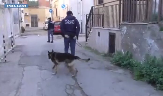 Maxi blitz antidroga tra Puglia e Molise: 11 arresti, rete criminale attiva anche a Campomarino