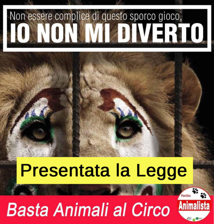 “Basta animali al circo”: la proposta di legge arriva in Senato